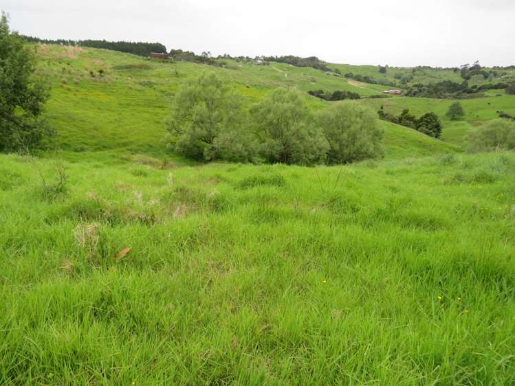 289 Franklin Road Paparoa_23