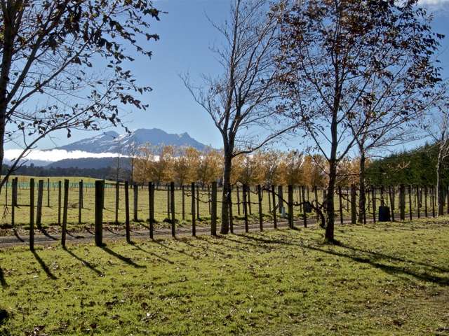 65 Shannon Street Ohakune_4