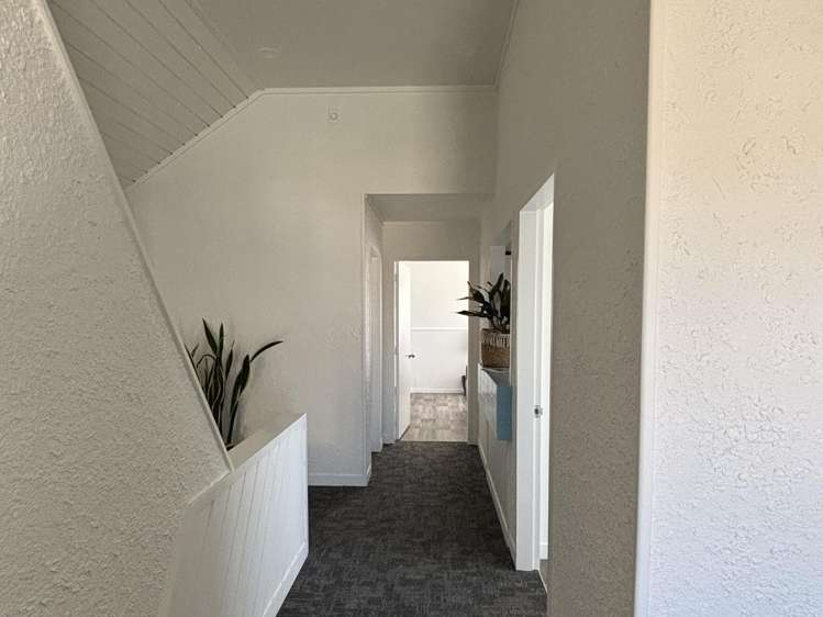319 Cameron Road Tauranga Central_1