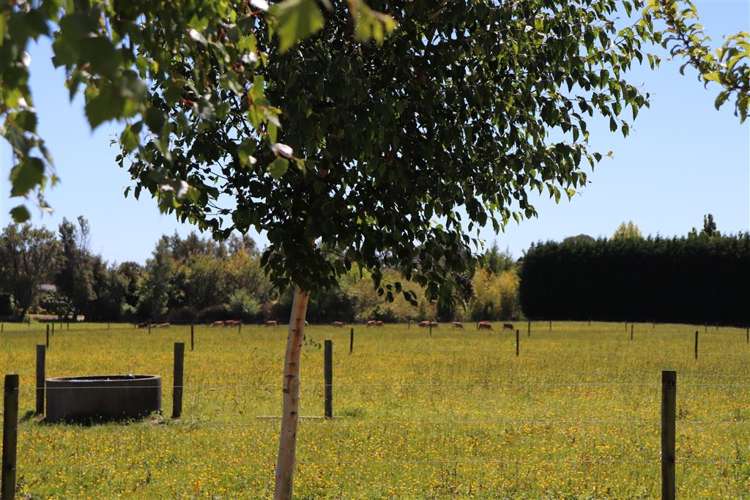 120 Patons Rock Road Kahurangi National Park_14