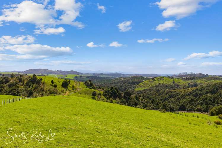 232 Arcadia Road Paparoa_18