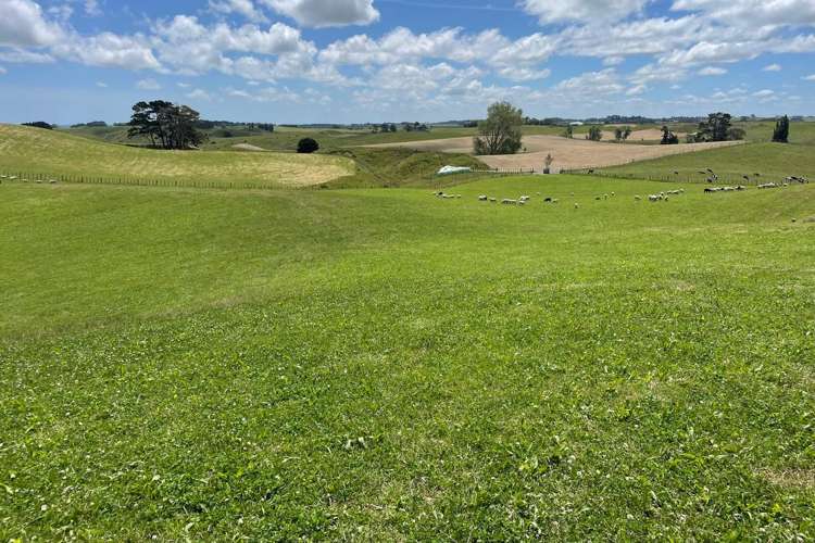 1397 Makino Road Halcombe_17