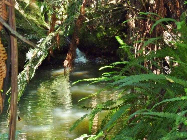 260 State Highway 10 Cable Bay_58