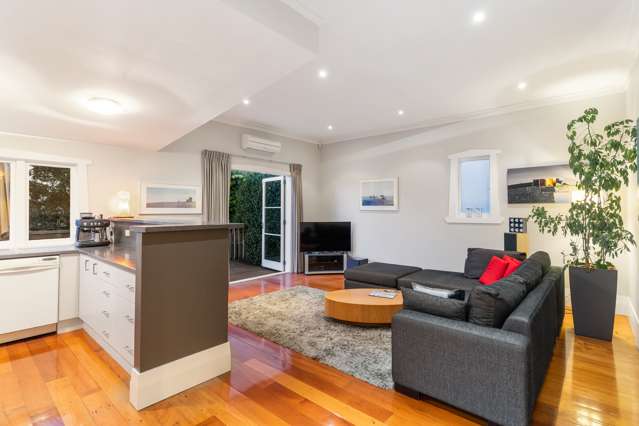 13 Old Mill Road Grey Lynn_2