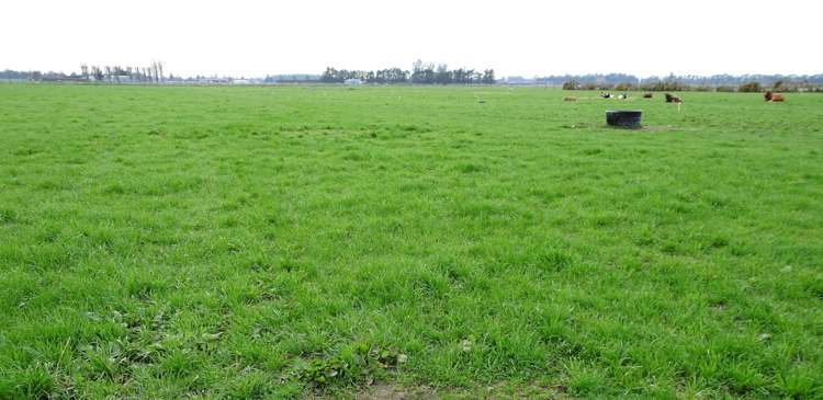 58 Levels Plain Road Levels_2