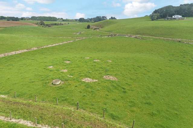 64 Ambush Road Ramarama_4