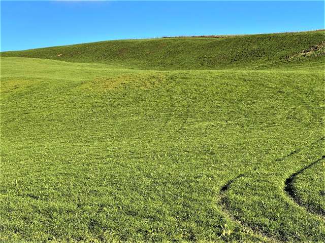 1572 Waimahaka Fortification Road Catlins Surrounds_3