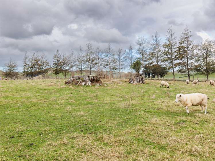 2 Alfredton Road Eketahuna_10