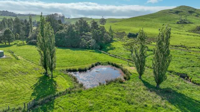 128 Dimmock Road Waitakaruru_2