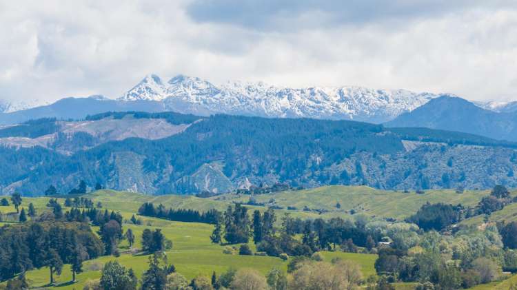 67 Rosedale Road Upper Moutere_13