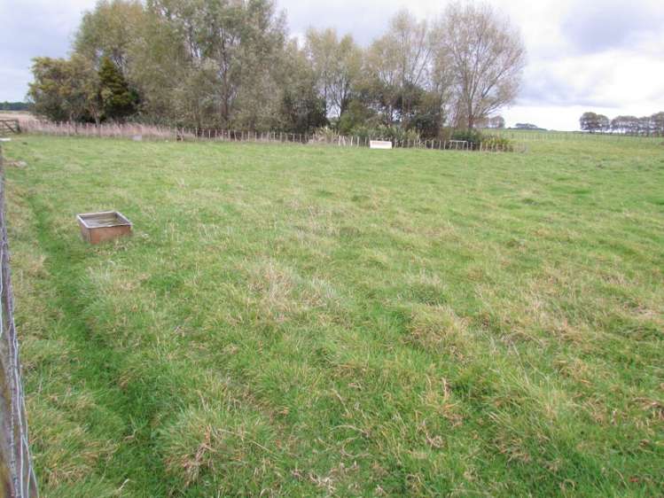 1362 Wellington Road Marton_5