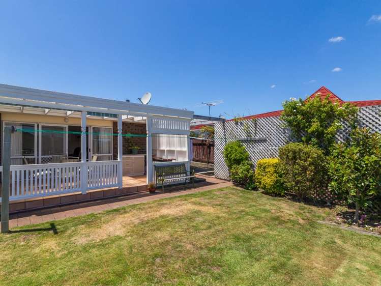 17 Roband Crescent Brown Owl_23