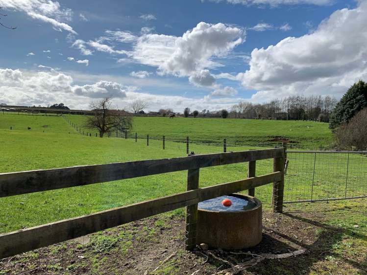 381 Tuakau Road Buckland_10