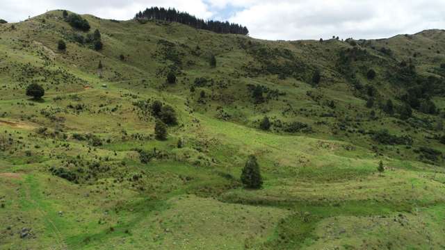 213 Matawherohia Road Kaeo_3