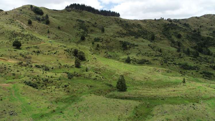 213 Matawherohia Road Kaeo_3