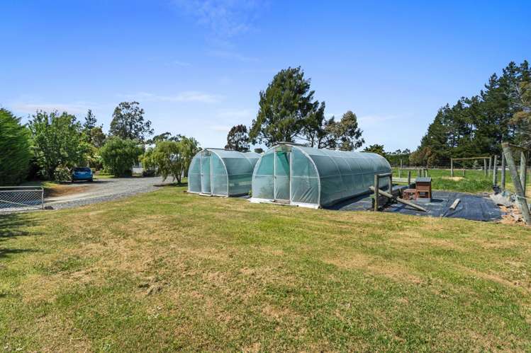 189 Leithfield Road Leithfield_19