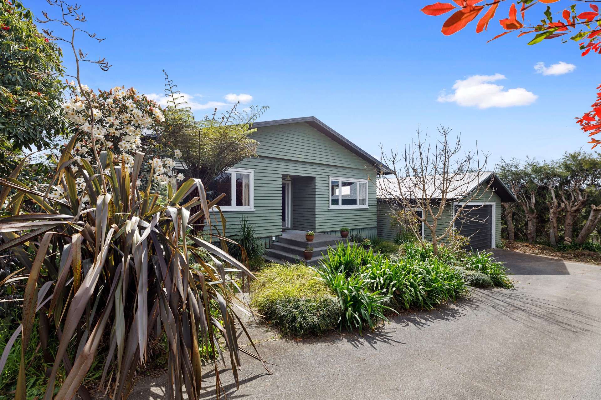 45 Plummer Road Whakamarama_0