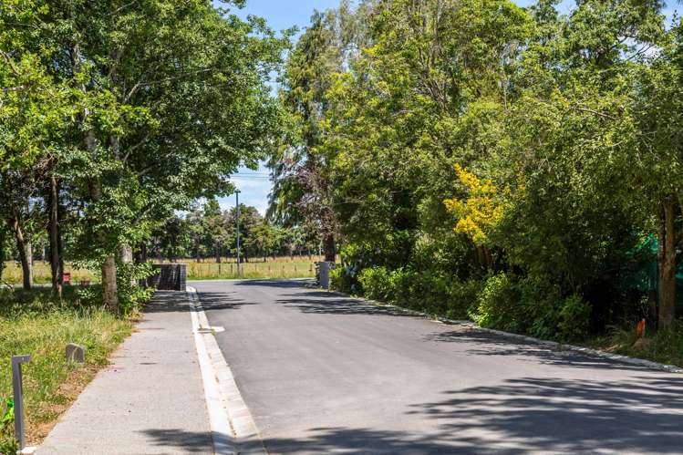 15 Woodlands Way Greytown_13