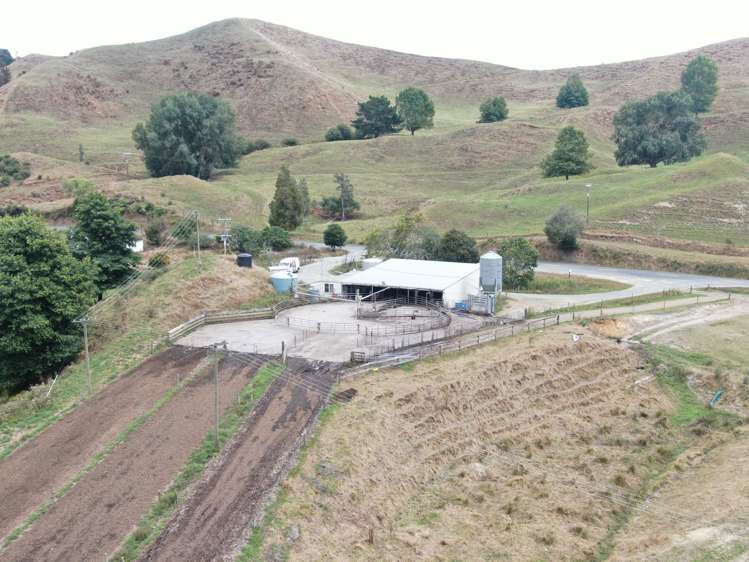 921 Ohura Road Aria_7