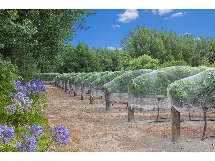 8 Clearwater Avenue Northwood_18