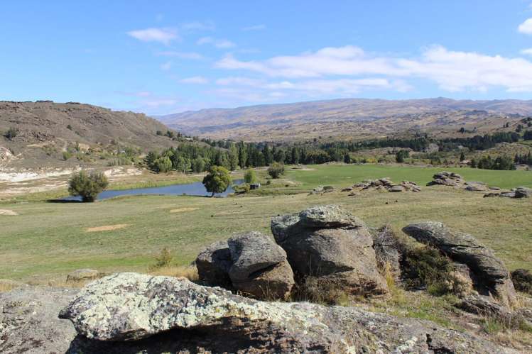 196 Chapman Road Alexandra_5