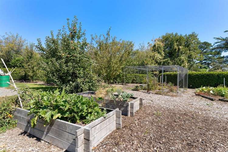 133A Kent Street Carterton_30