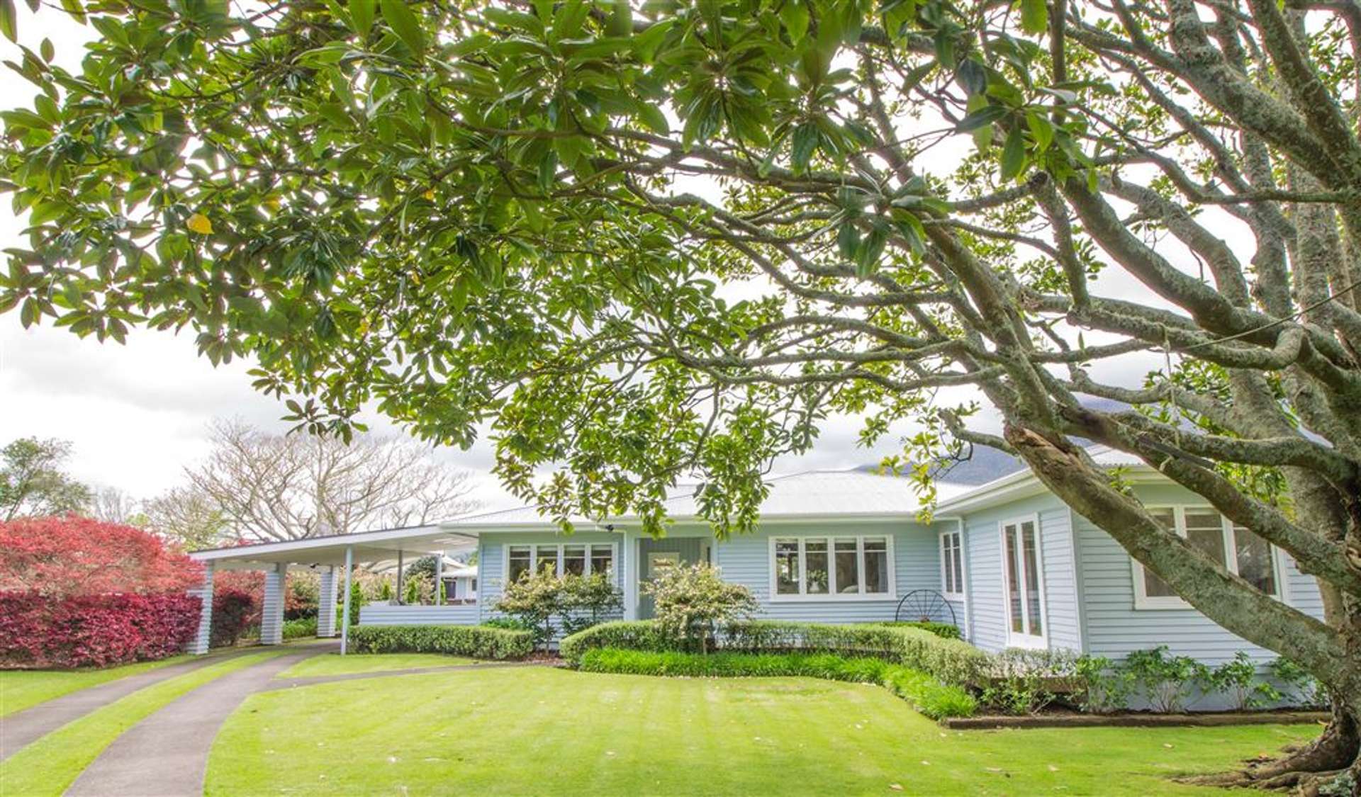 26 Follis Street Te Aroha_0