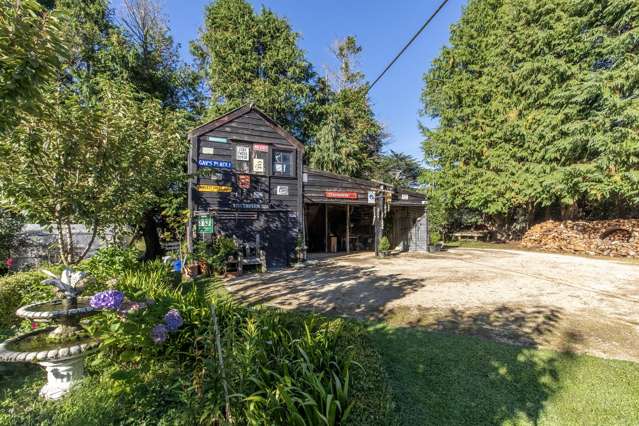 3 Adolphus Street Norsewood_1