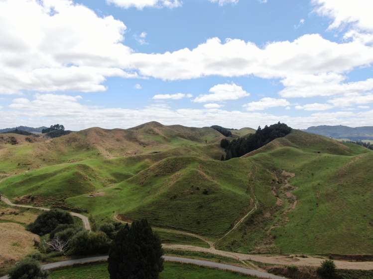 921 Ohura Road Aria_16