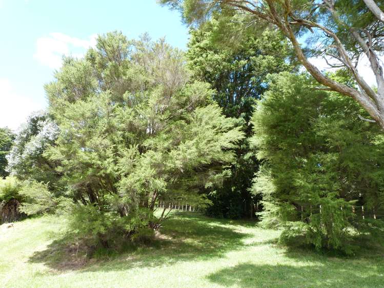 Lot 2 Okokako Road Kerikeri_11