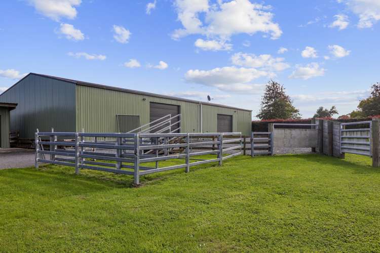 202e Tower Road Matamata_20