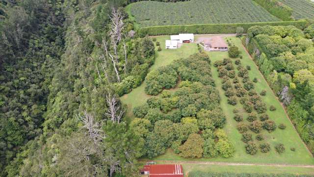 721 No 3 Road Te Puke_4