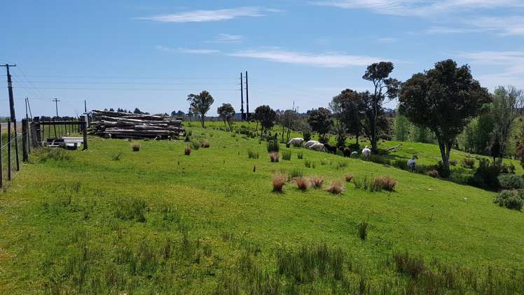 29a Reg Cox Drive Hokitika_18