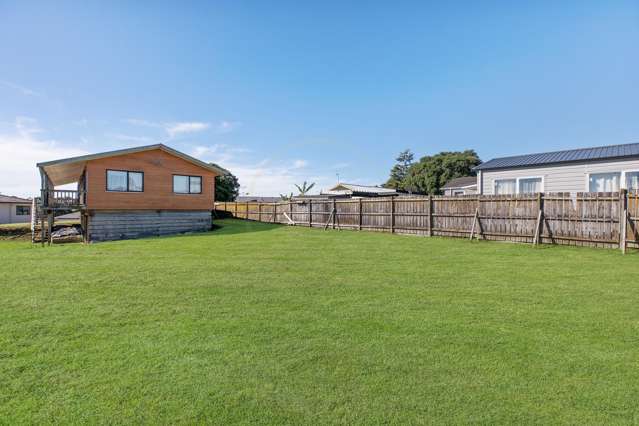 197 Finlayson Avenue Clendon Park_4