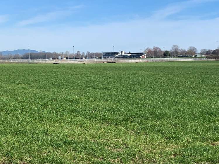 Banks Road Matamata_8