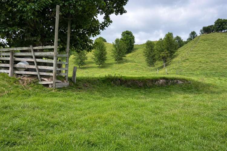 Hikumutu Road Taumarunui_5