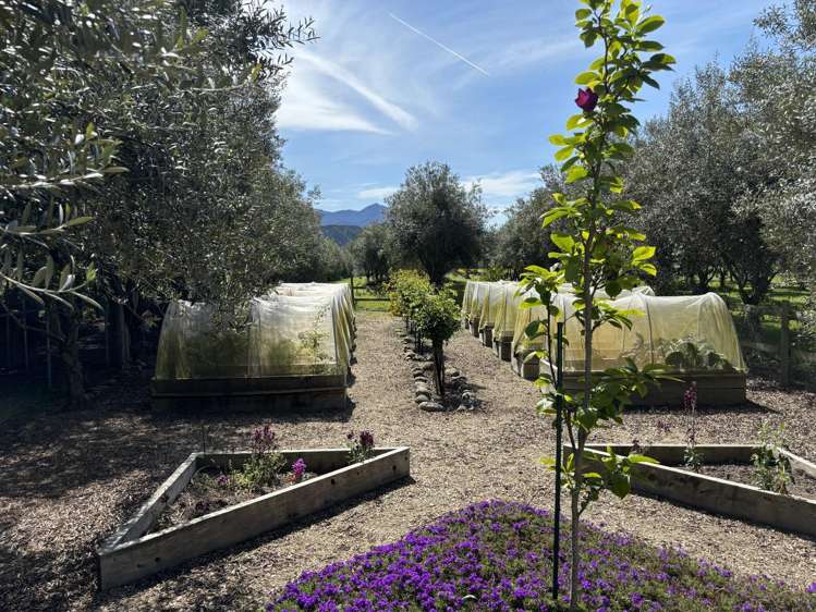 57 Fareham Lane Renwick_20