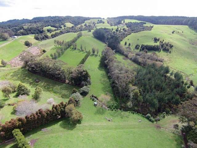 57 Reservoir Road Kaikohe_1