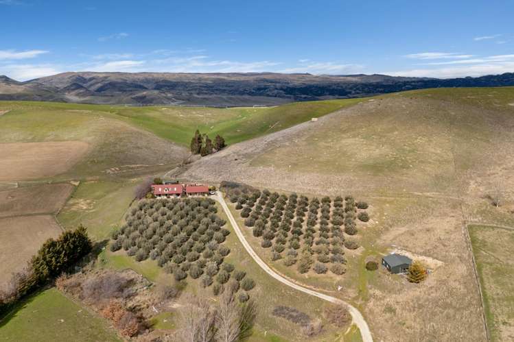 60 Thomson Gorge Road Tarras_16