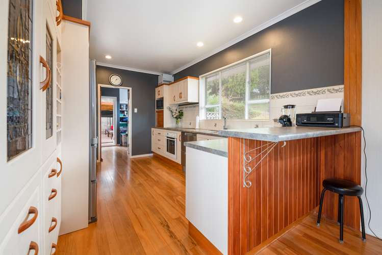 61 Mcdowell Street Springfield_20