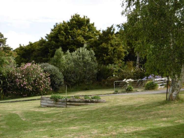 264 Vinegar Hill Road Kauri_8