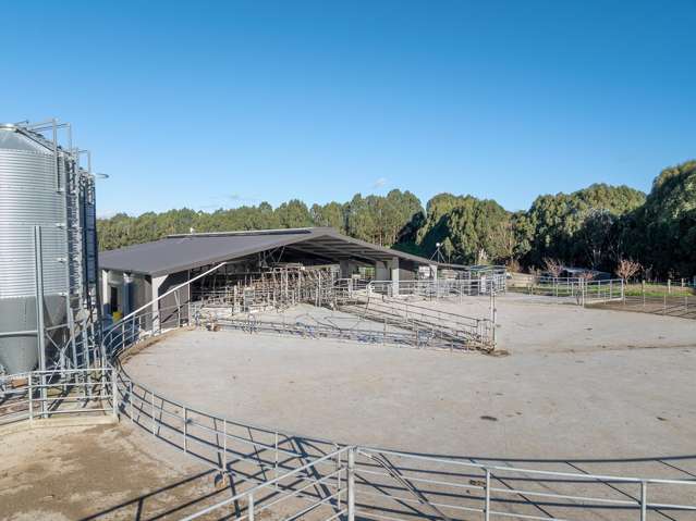 858 Oreipunga Road Maungatautari_4