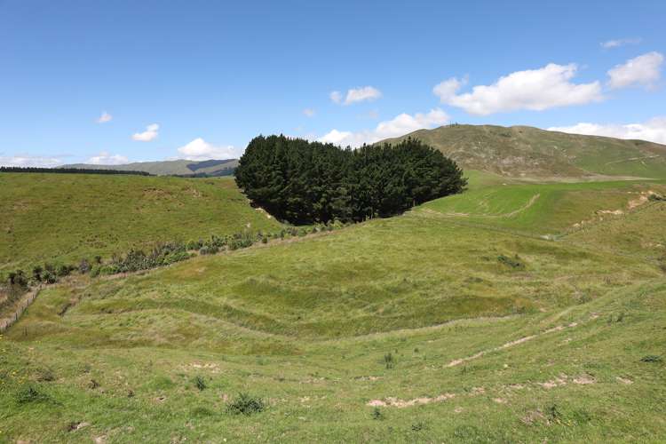 50 Highland View Drive Tokomaru_7