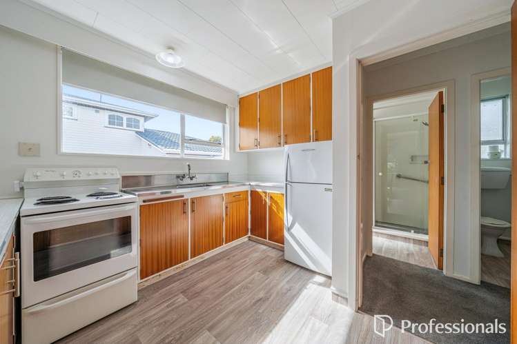 12a Chesney Street Avalon_13