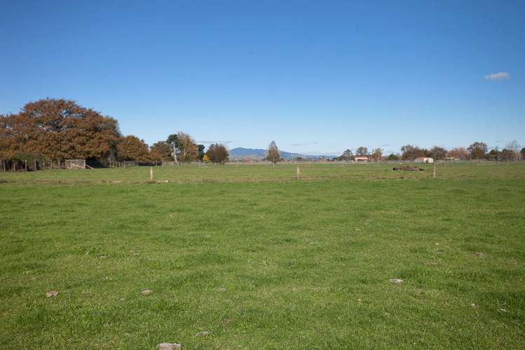 312b Marychurch Road Matangi_8