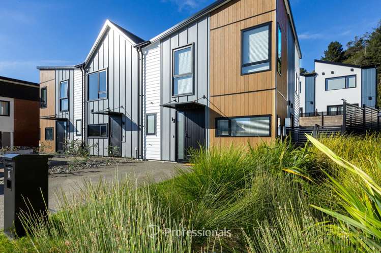 17 Dovey Katene Horvath Street Wallaceville_19