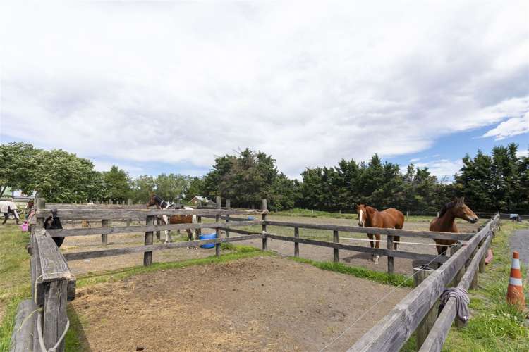 843 Tram Road Ohoka_21