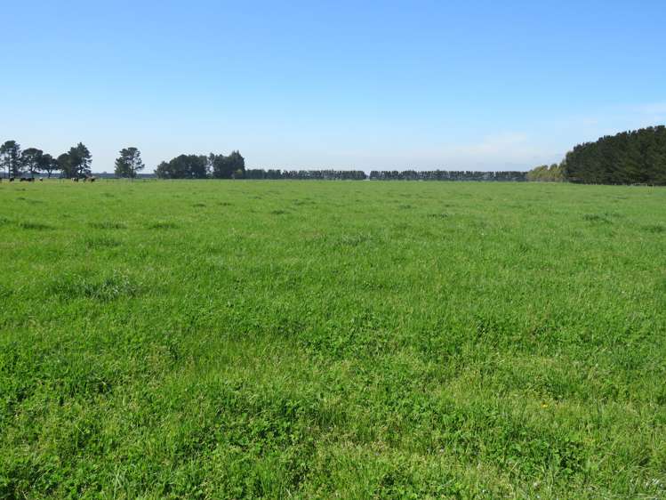 657 Maronan Road Winslow_8