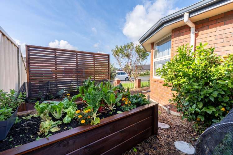 6B Reid Avenue Mosgiel_28