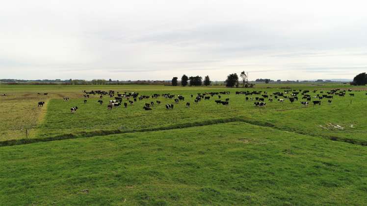 453 Mataura Island Road Wyndham Surrounds_6